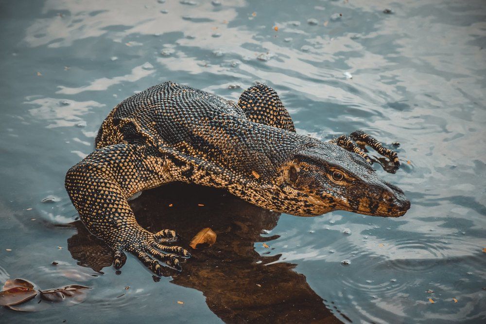 Photograph by Алексей