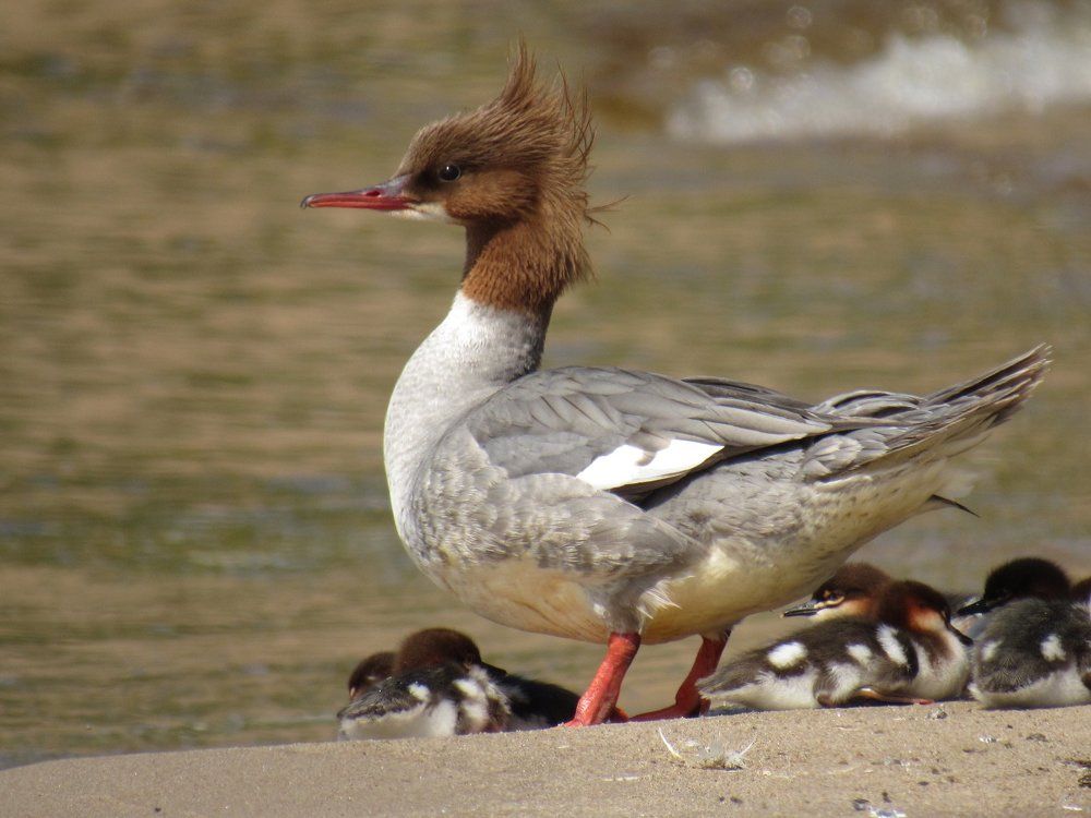 Photograph by Карина Хаустова