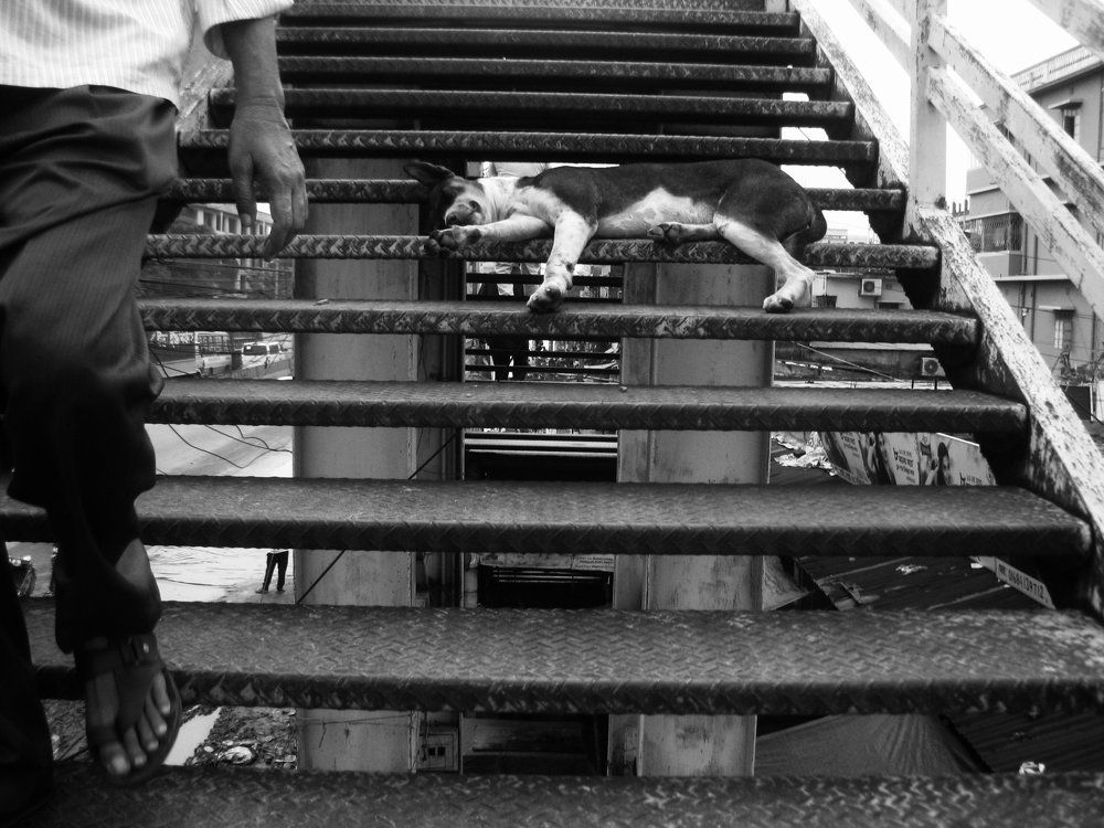 Photograph by Afif Allahma Farabi