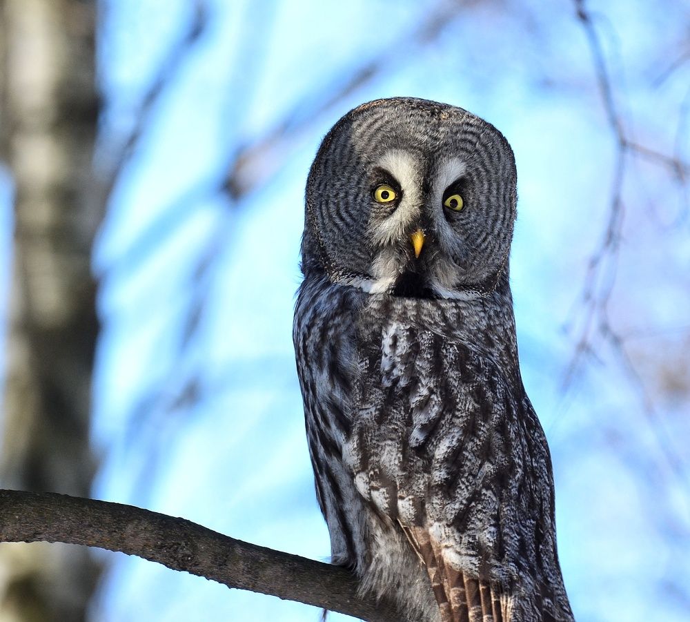 Photograph by Алексей Фомичев