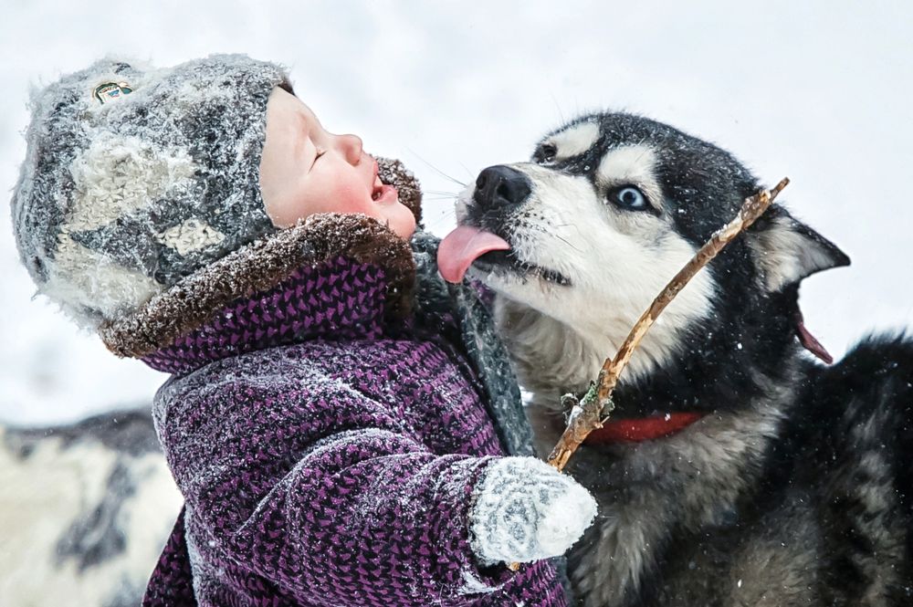 Ну, не плачь...