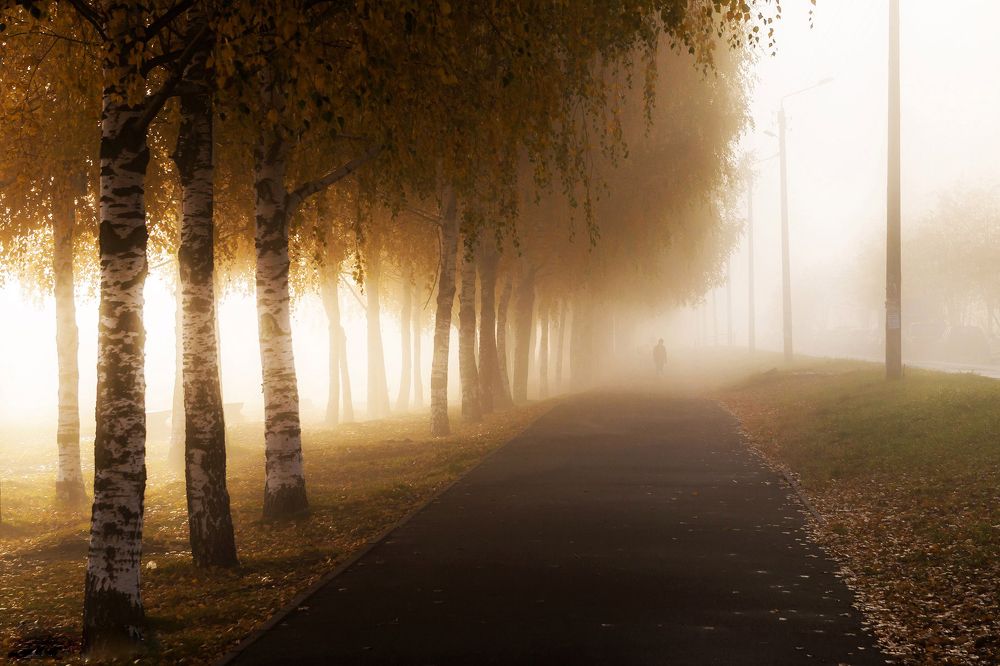 Туманное утро