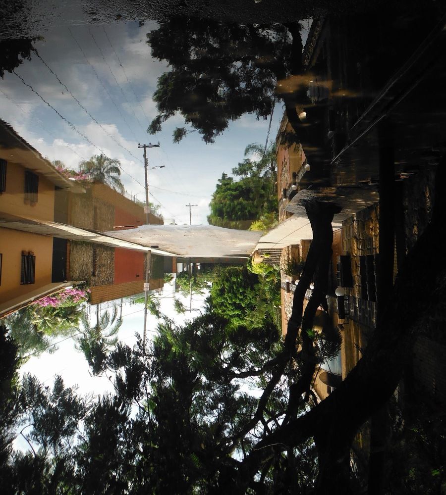 The world upside down