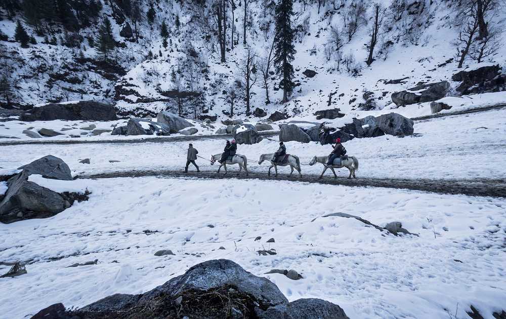 STUDY NATURE, lOVE NATURE, STAY CLOSE TO NATURE....IT WILL NEVER FAIL YOU.