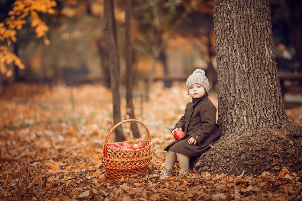 Маргаритка