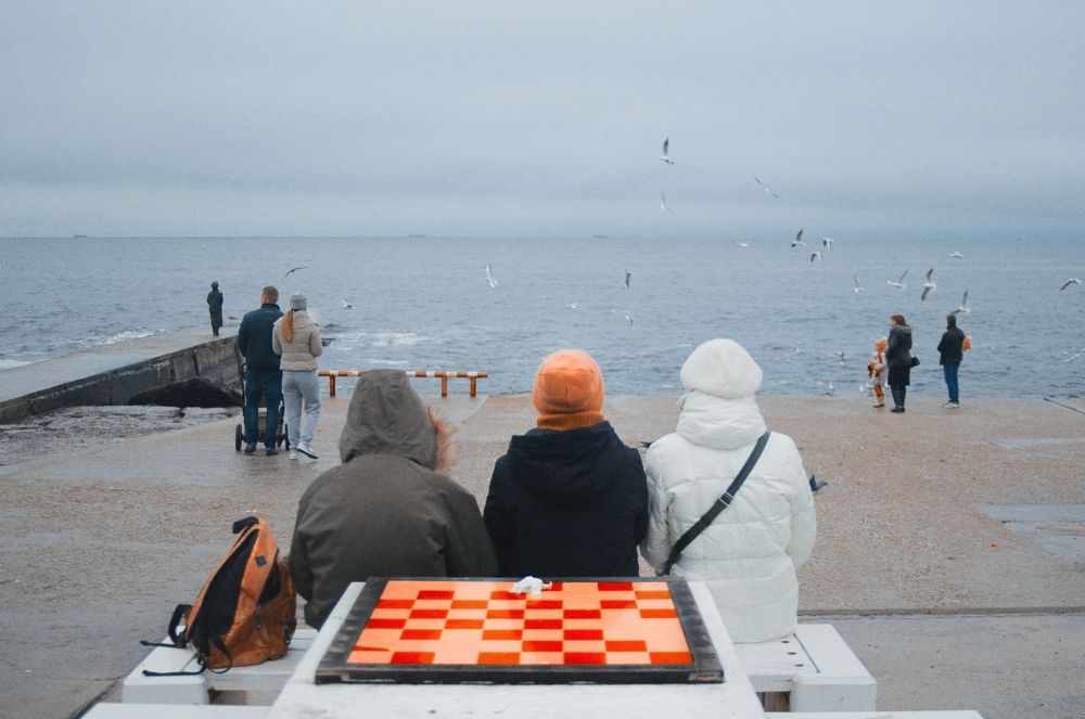 Chessboard & Seagulls.