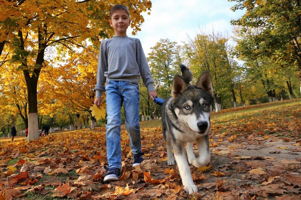 Прогулка с другом