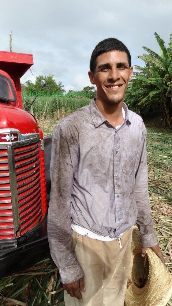 sugar cane worker