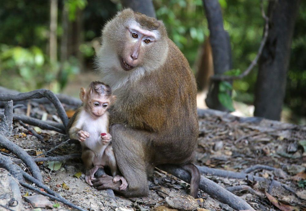 Недолог единенья миг...