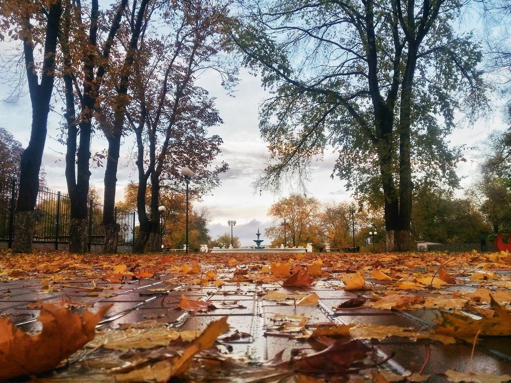 Photograph by Орловский Сергей