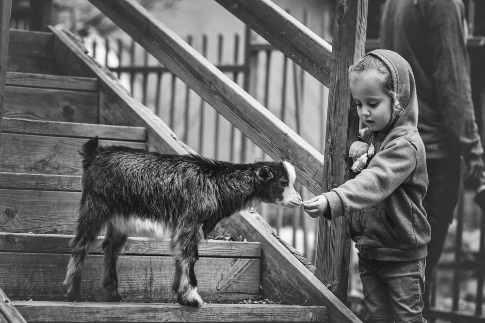 Держи капусту