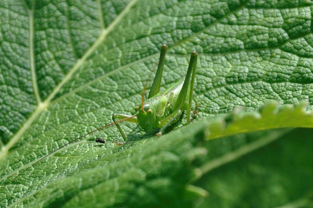 Photograph by Мотякин Аркадий Евгеньевич