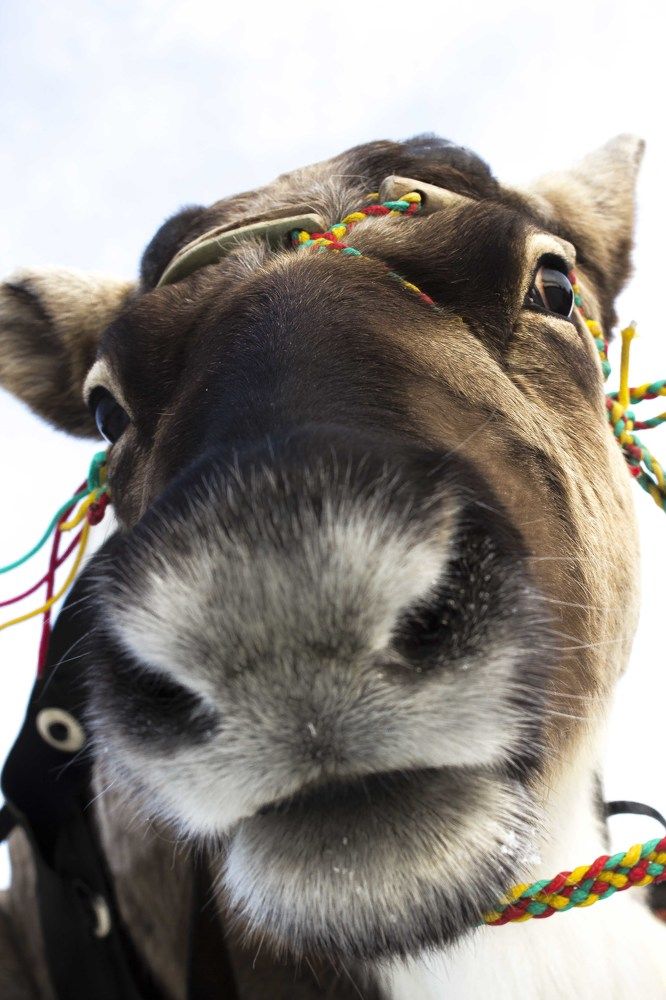 Photograph by Тимур Красильщиков