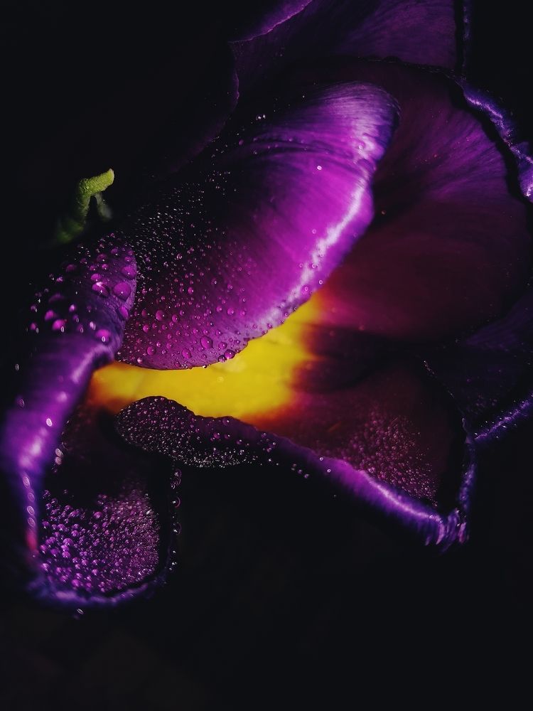 Photograph by Нина Писклова