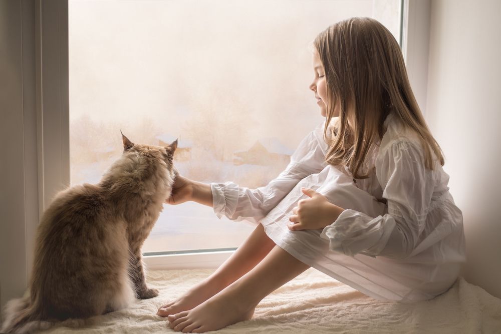 Девочка и кот.