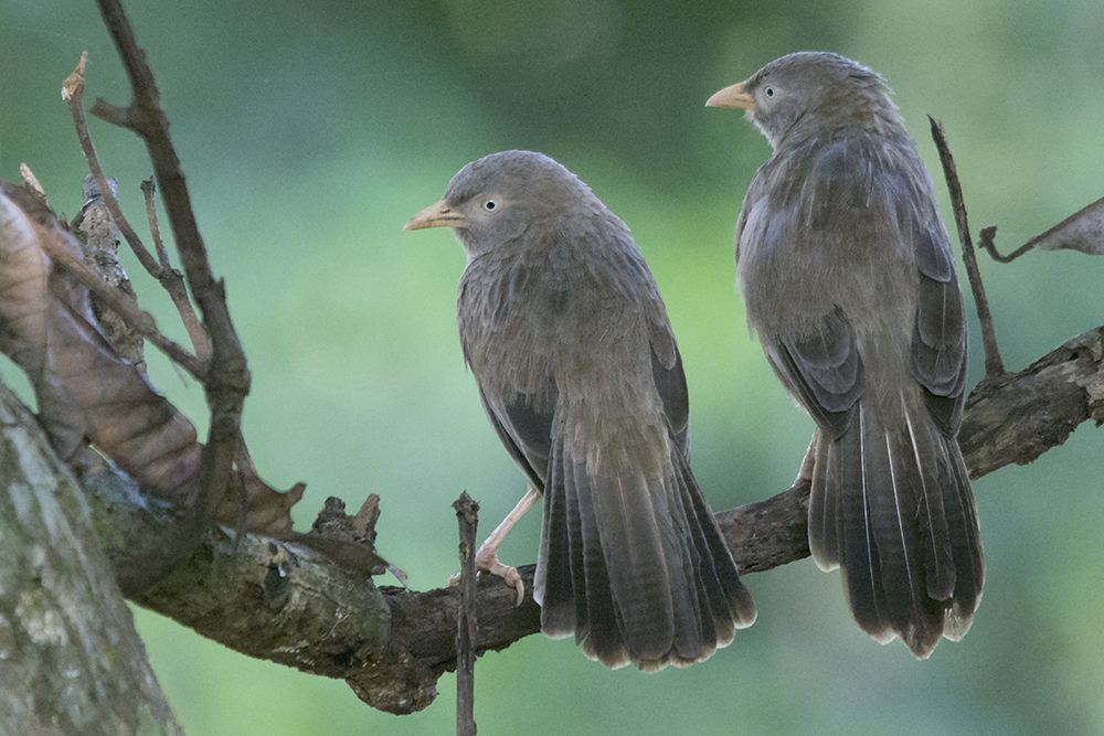 THE ART OF LIVING TOGETHER