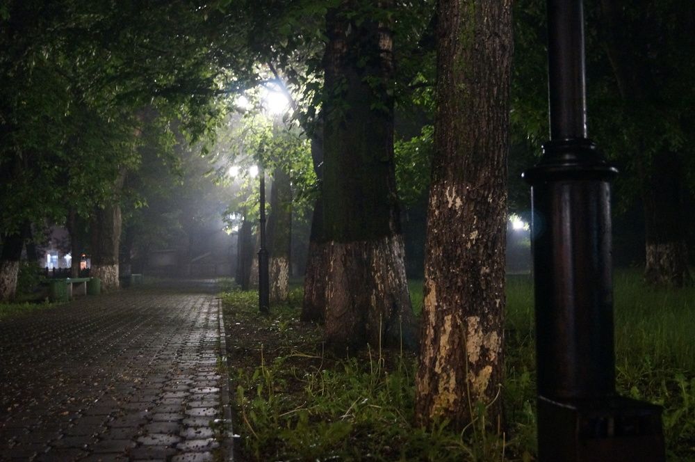 Photograph by Александр