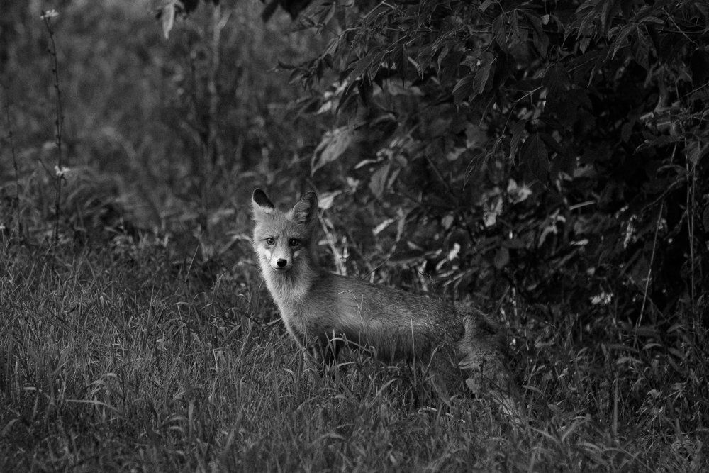 Photograph by Наталья