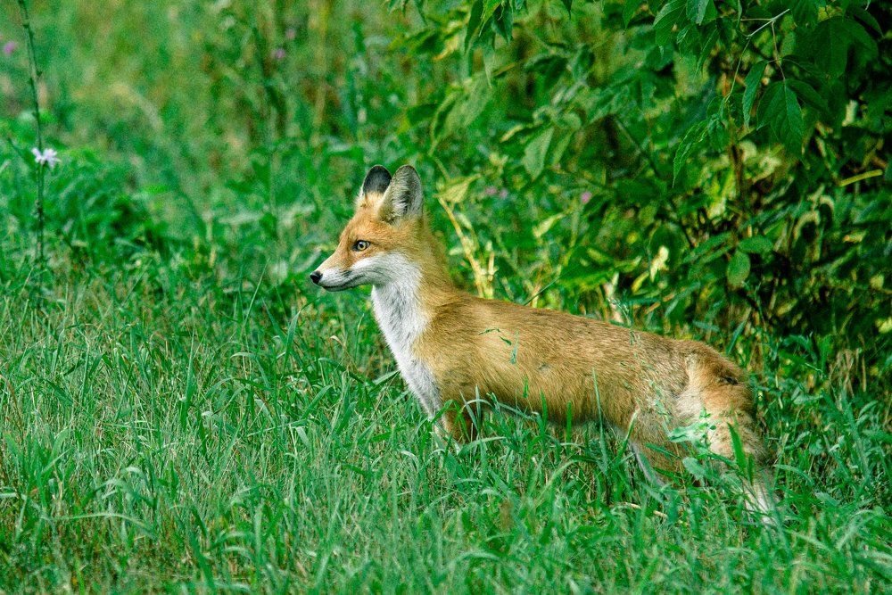 Photograph by Наталья