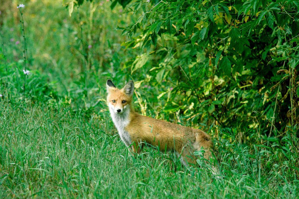 Photograph by Наталья