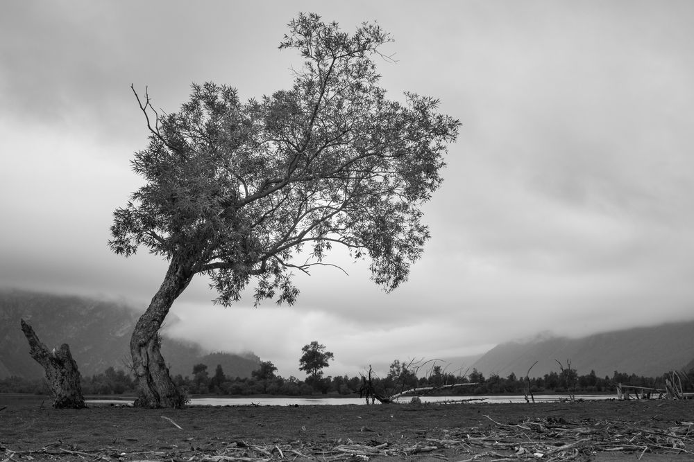 на семи ветрах