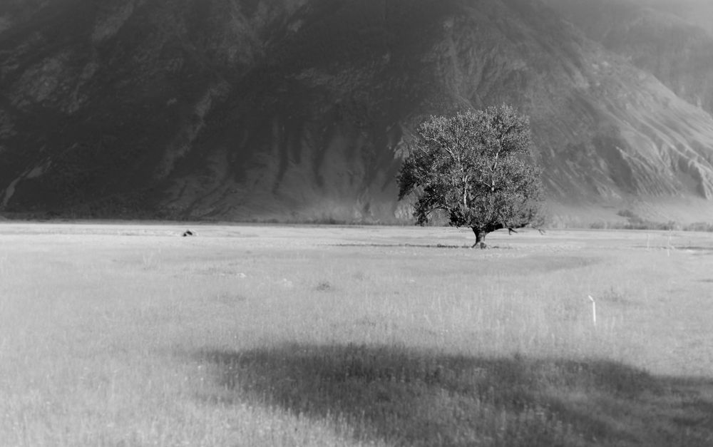 один в поле