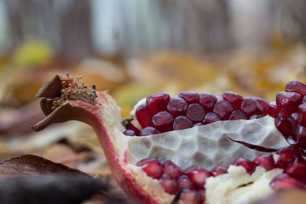 Осень, гранат