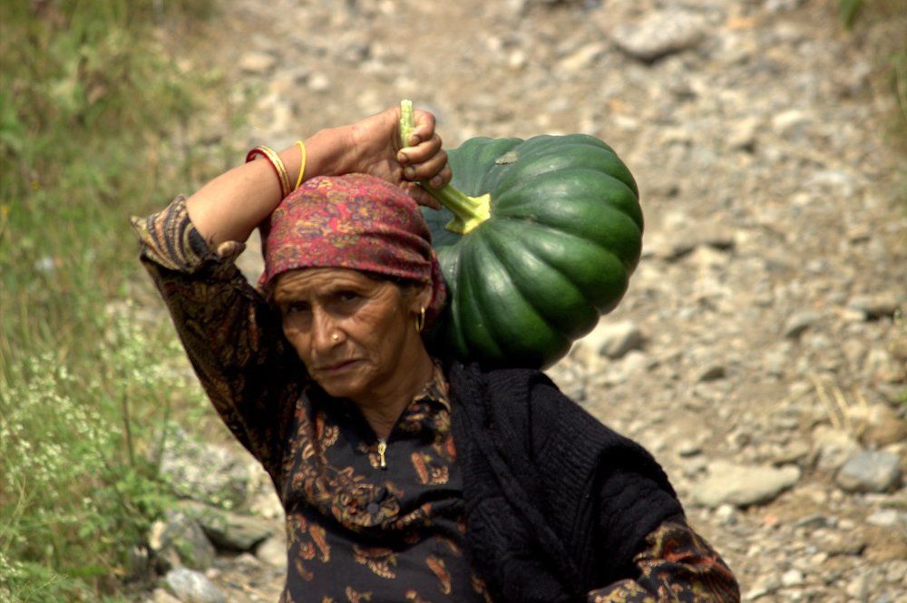 A lady carrying vegetable