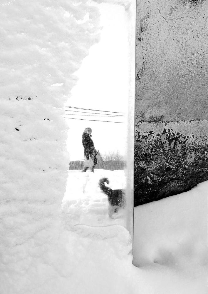 Без названия