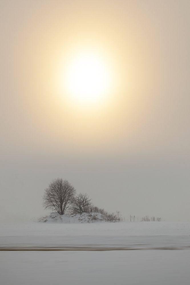 Зимнее туманное утро