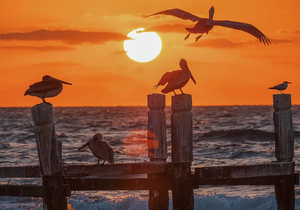 Планёрка перед завтраком