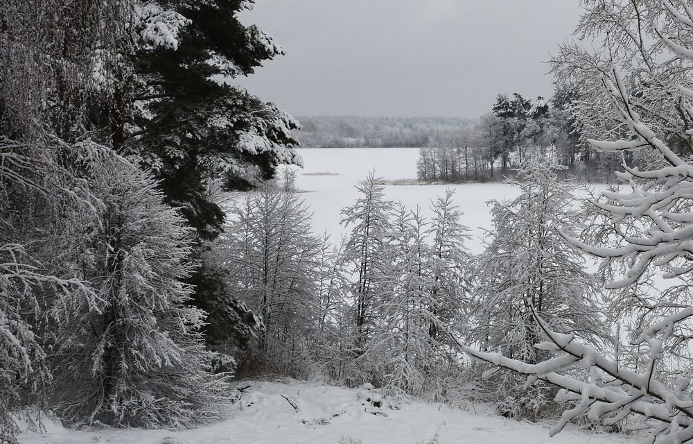 Зимний этюд