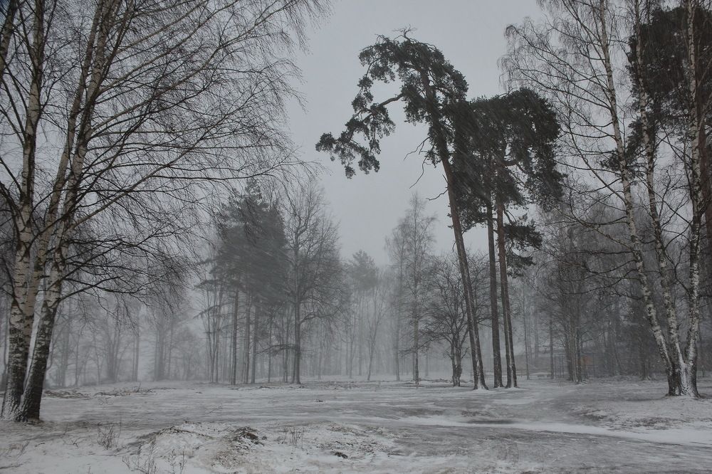 Февральская метель