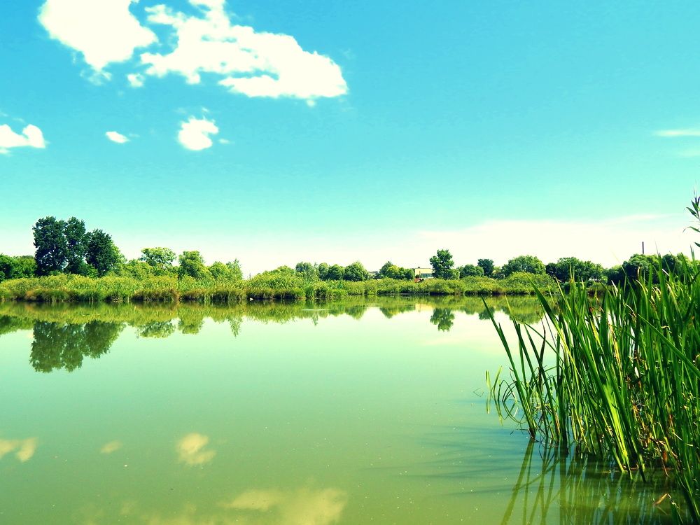 Тихое местечко