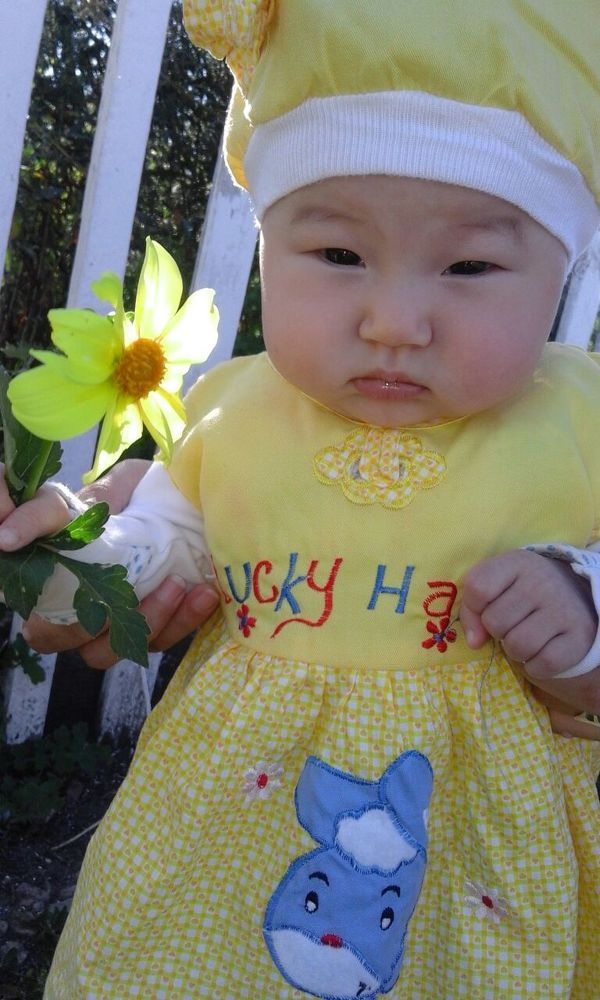 Жасмина