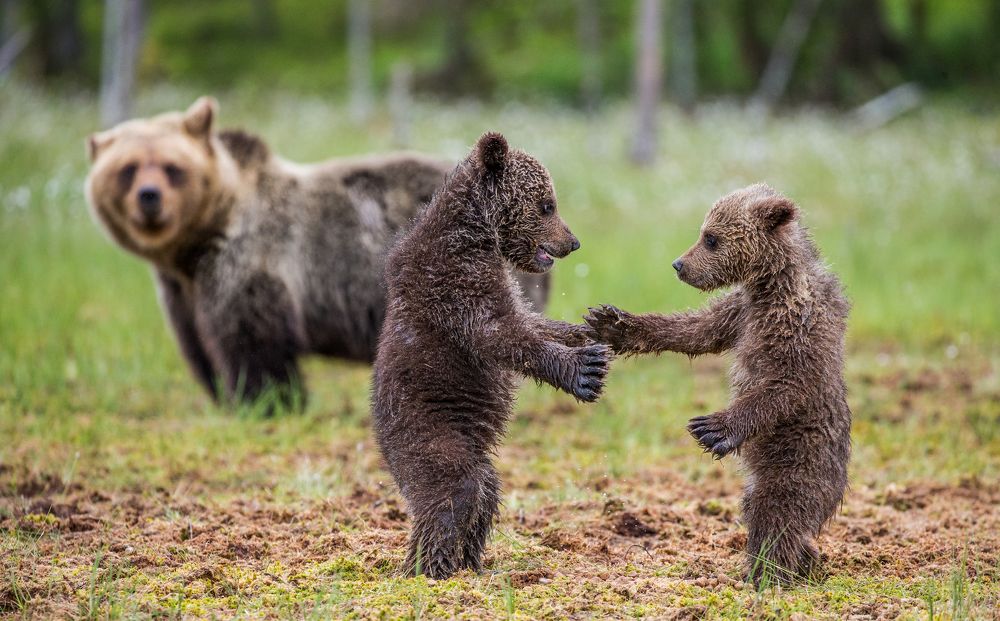 ДАВАЙ ДРУЖИТЬ