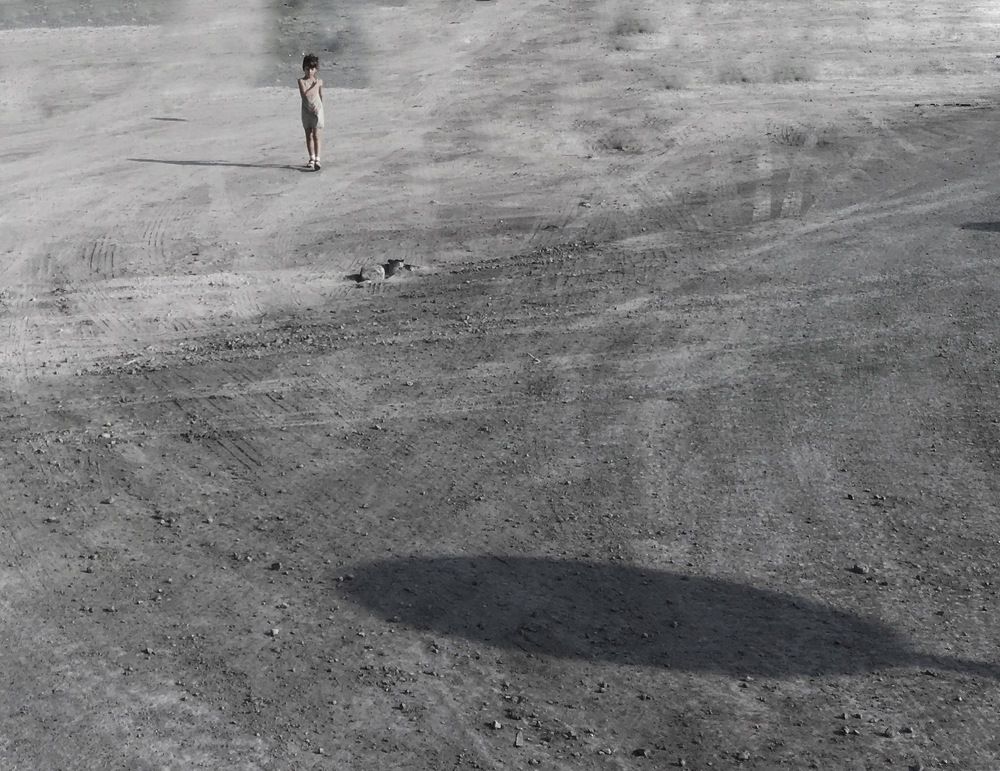 Landed on the moon
