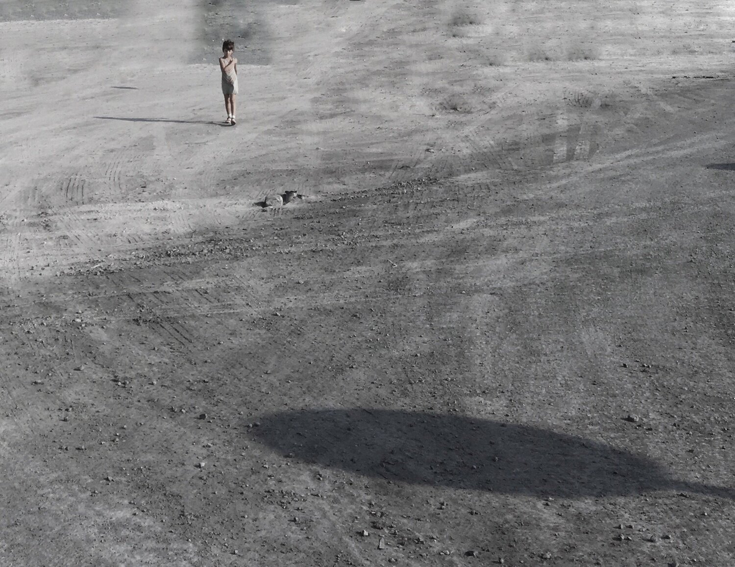 Landed on the moon