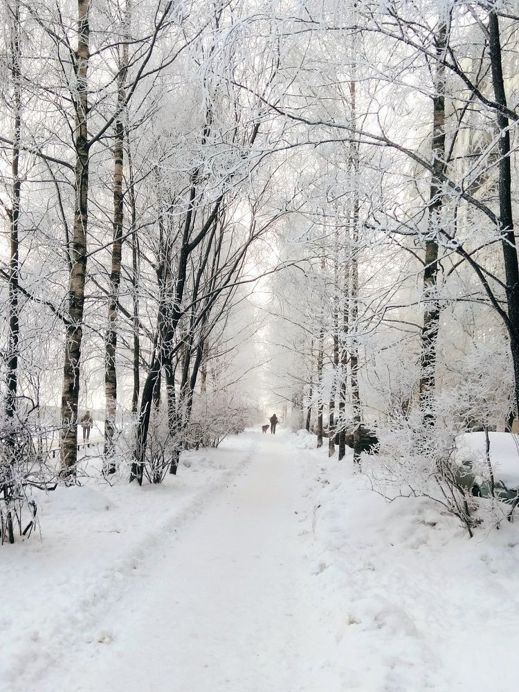 Фотография автора Светлана Дунаева