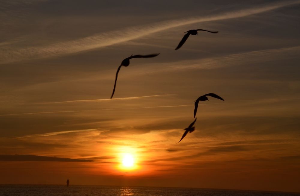 Красный закат