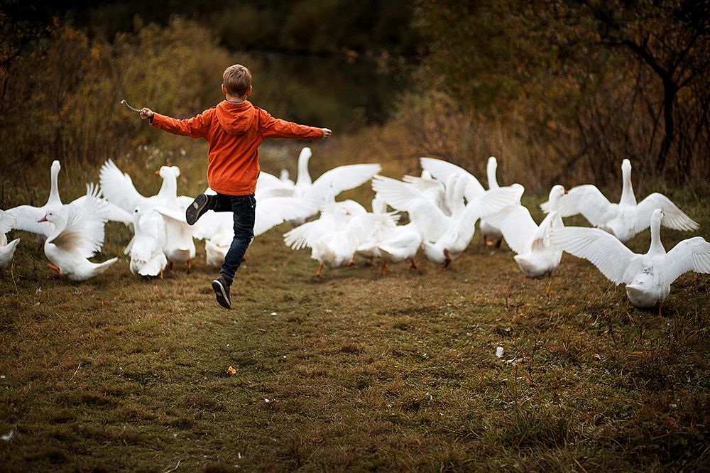 Photograph by Екатерина