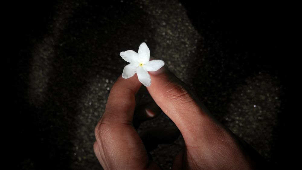 Light in Darkness