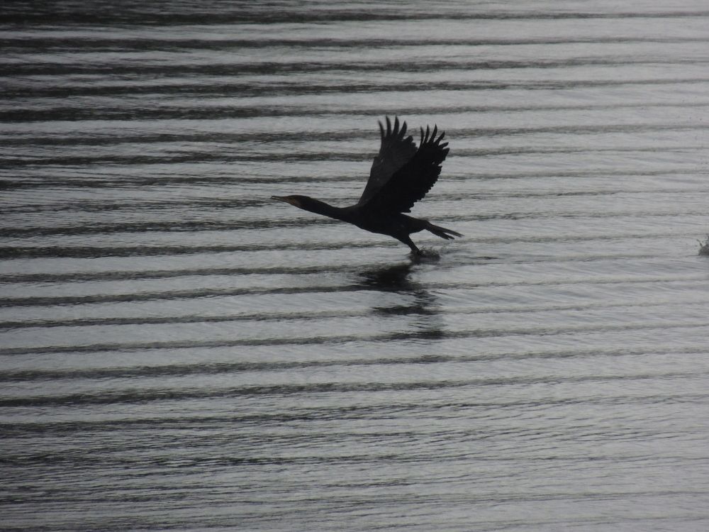 Take off