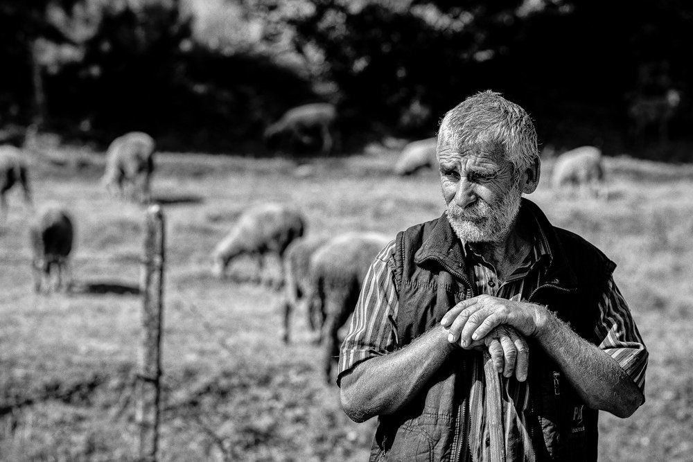 The Good Shepherd / Хороший пастух