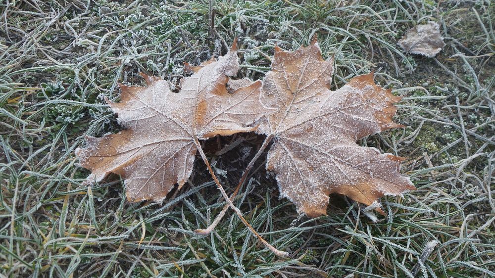 Предверье зимы