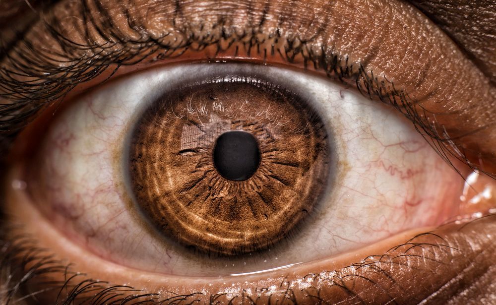 Human eye = 576 Megapixels