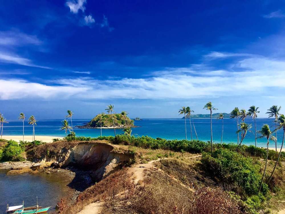 Vitamin Sea for Free