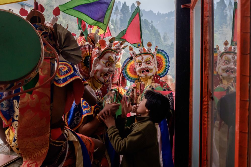 Beauty among the Beast