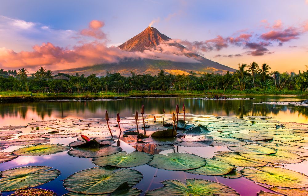 “The Perfect Cone”