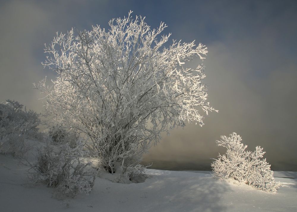 У самой воды